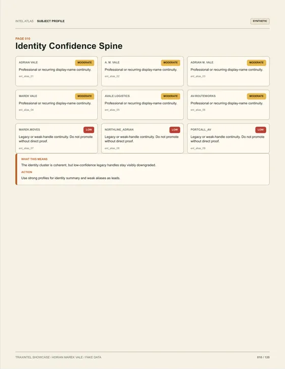 Page 010 of the sample report: Identity Confidence Spine