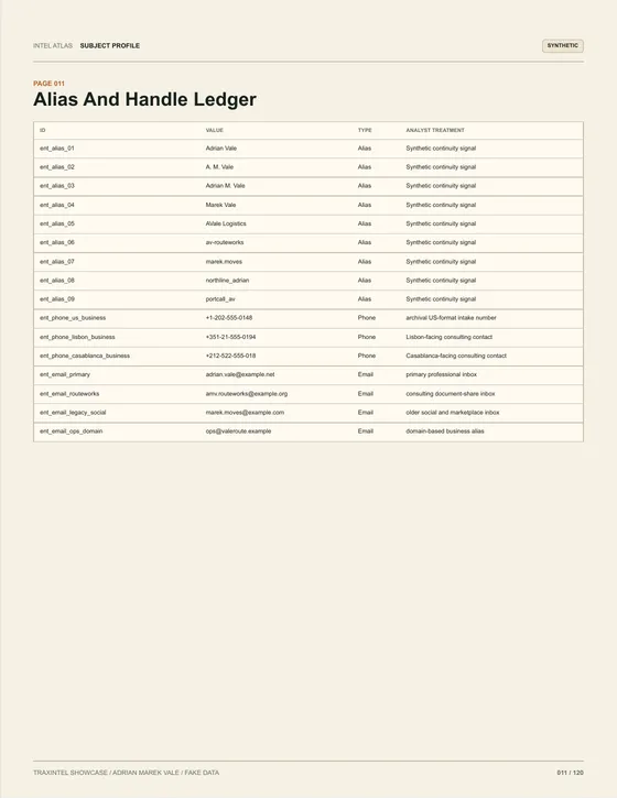 Page 011 of the sample report: Alias And Handle Ledger