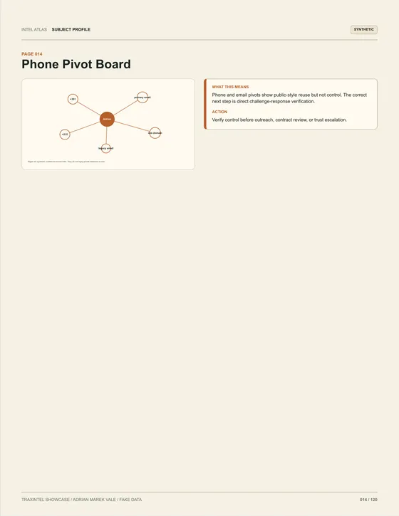 Page 014 of the sample report: Phone Pivot Board